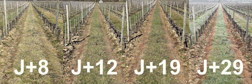 Cliquez sur l'image pour plus de photos/vidéos