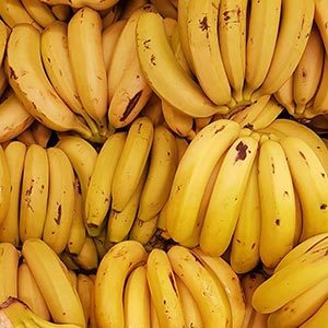 Producteur de bananes